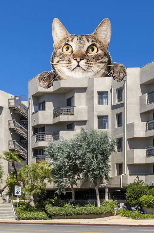 6afb2910860b17ac92786aaf5768c678 Contact a cat sitting on top of a building. The Ivy Apartments in Sherman Oaks 15301 Valley Vista Blvd Sherman Oaks, CA 91403  P: 844-678-0903 TTY: 711 F: 818-647-0264